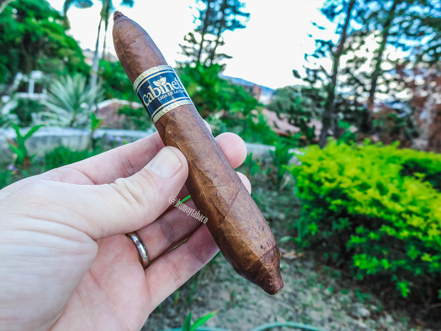 Cabinet - Liga de la Casa 01