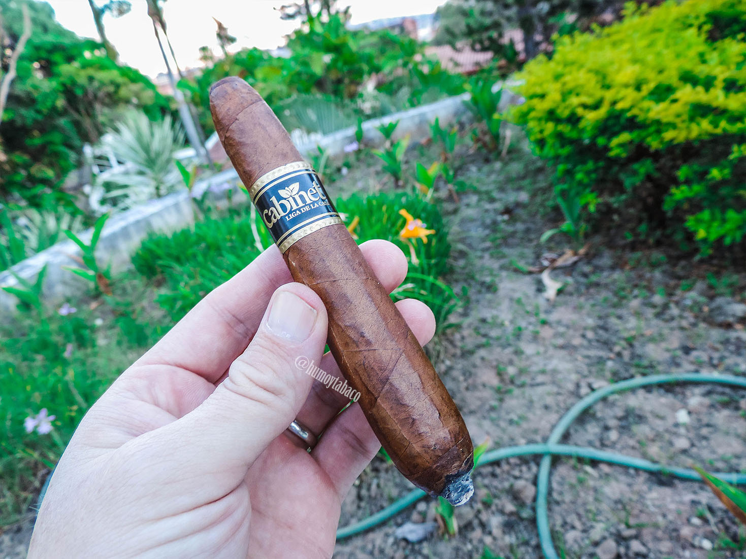 Cabinet - Liga de la Casa 02