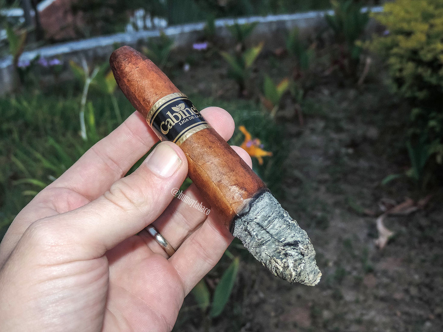 Cabinet - Liga de la Casa 04