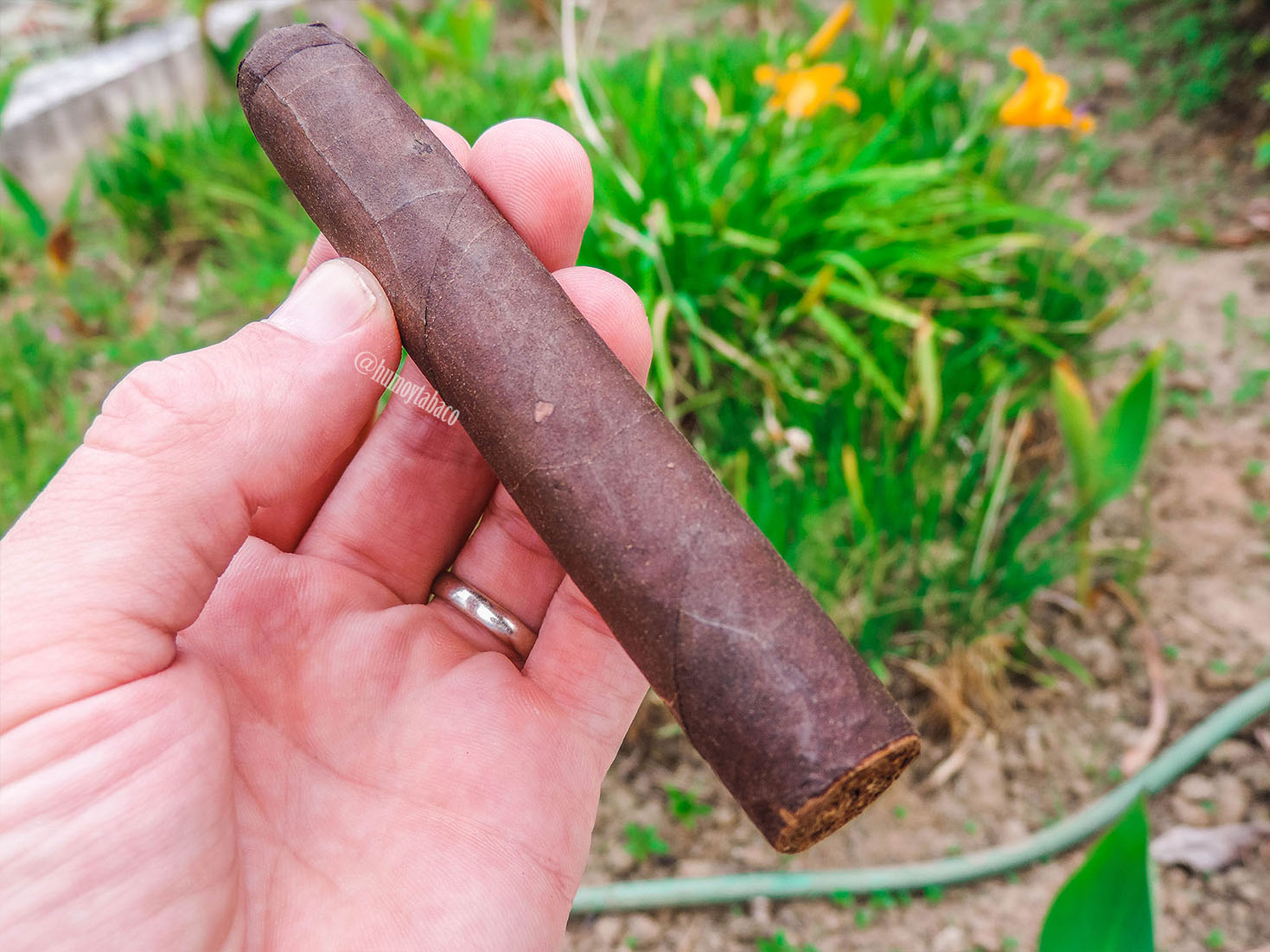 CFT - Queen of Hearts 01