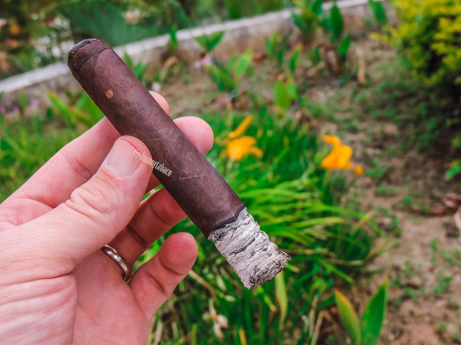 CFT - Queen of Hearts 03