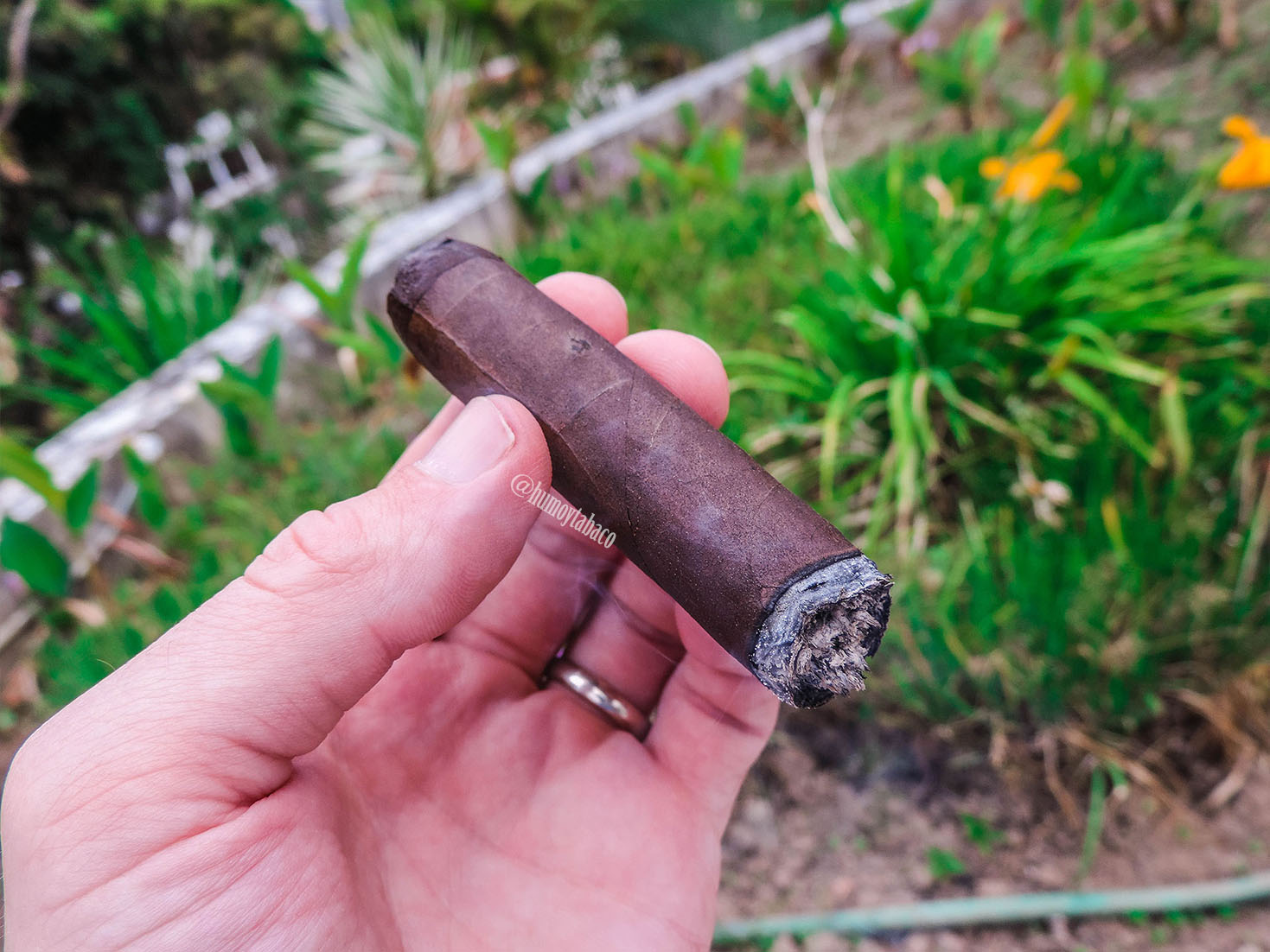 CFT - Queen of Hearts 05