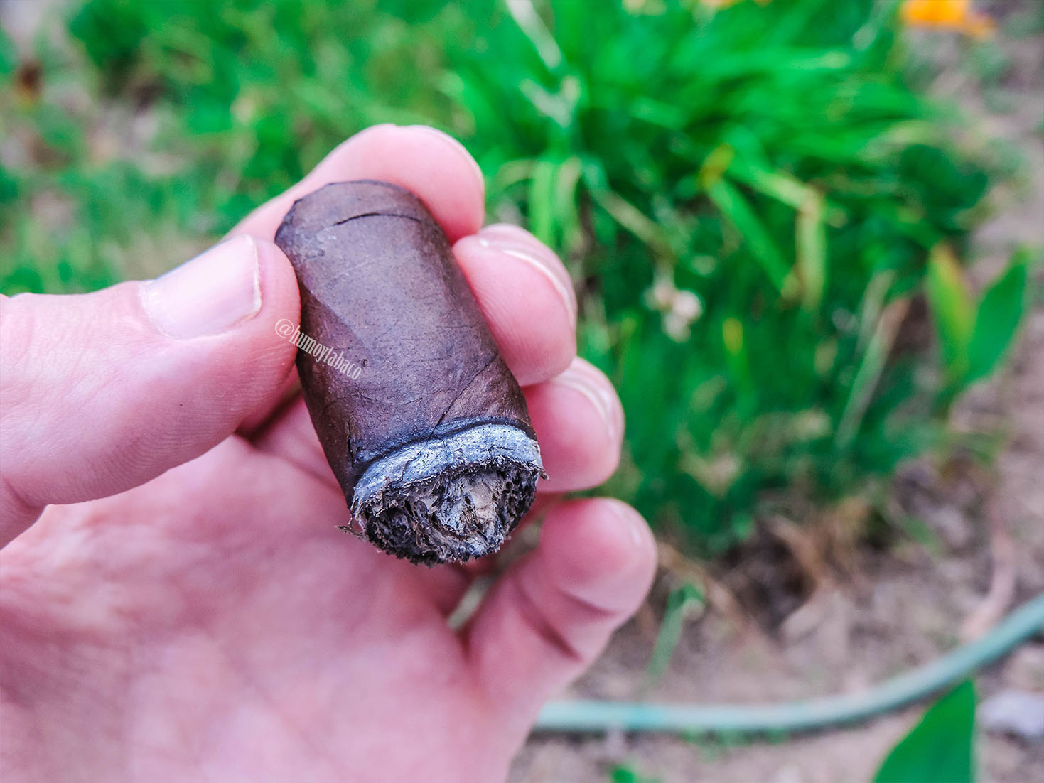 CFT - Queen of Hearts 06