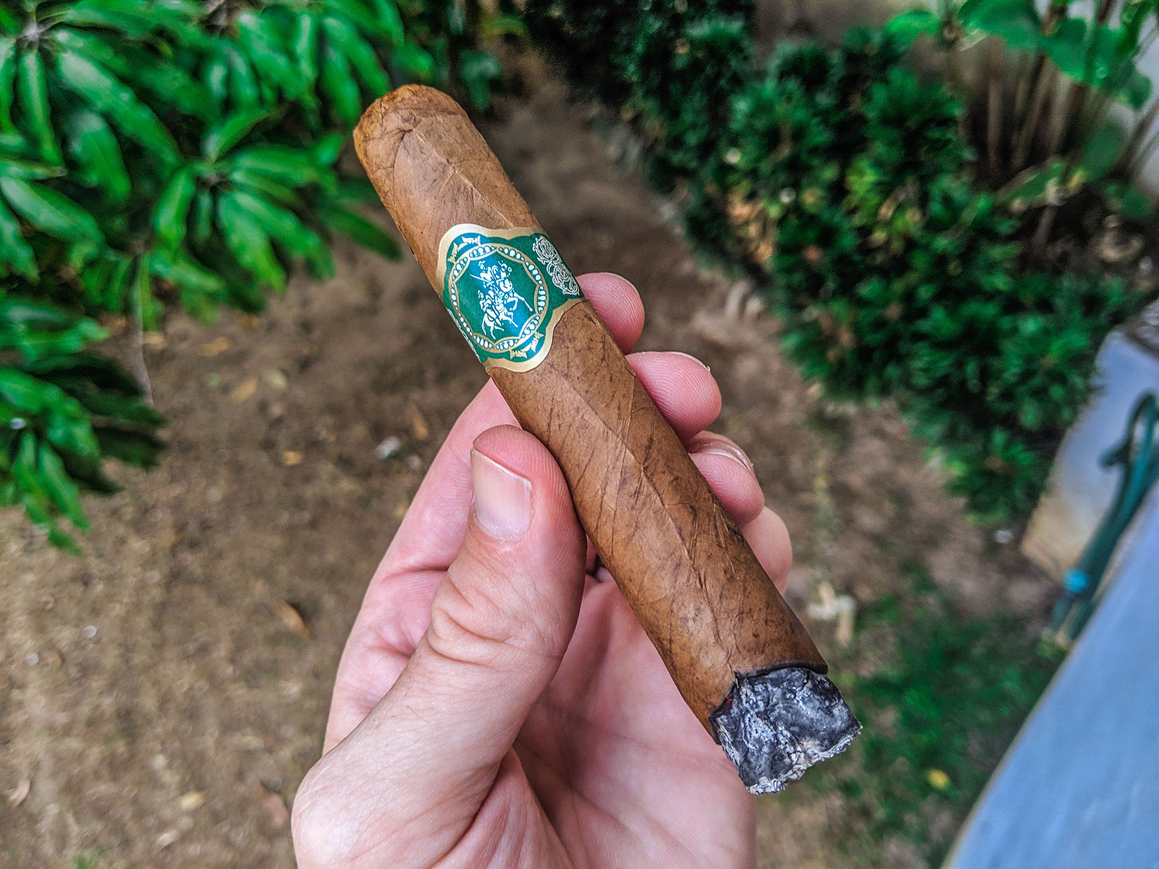 Don Quijote - Robusto 02