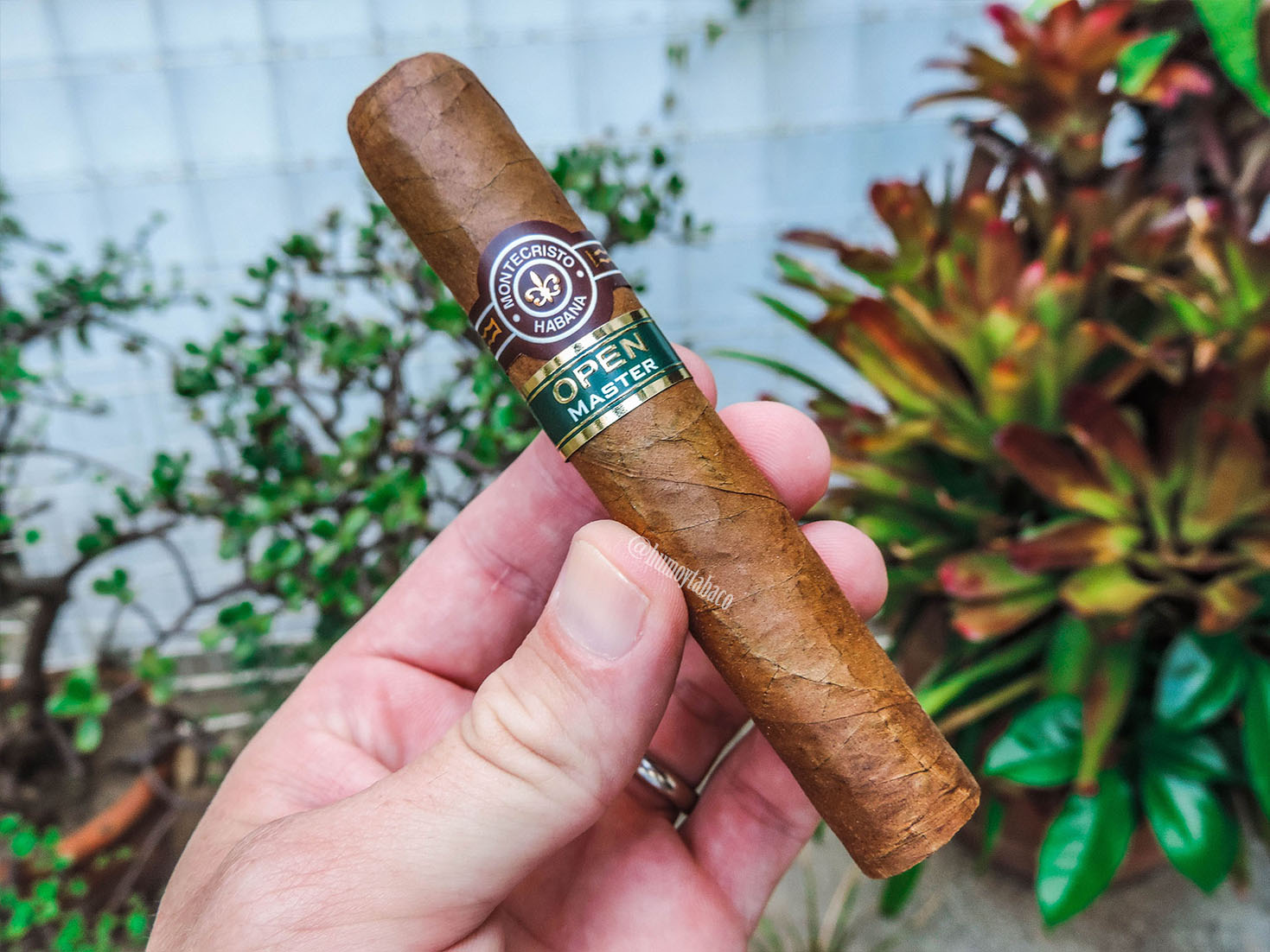 Montecristo - Open Master 01