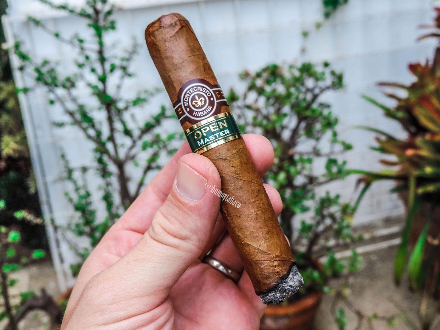 Montecristo - Open Master 02