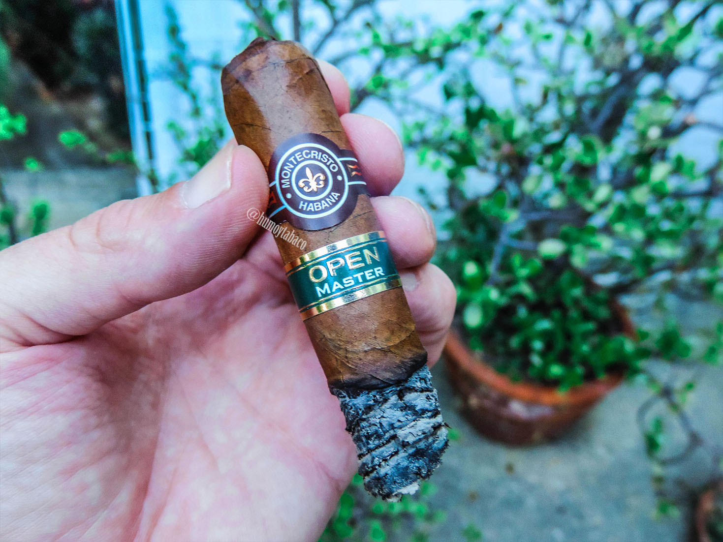 Montecristo - Open Master 04