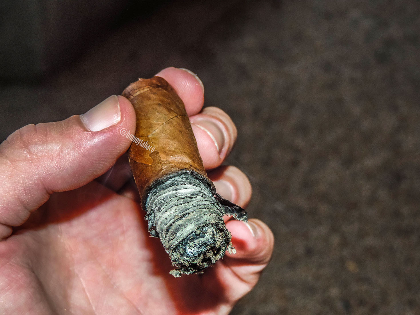 Montecristo - Open Master 06