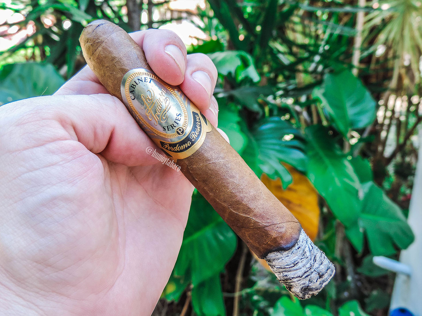 Perdomo - La Tradicion Cabinet Series Cameroon 03
