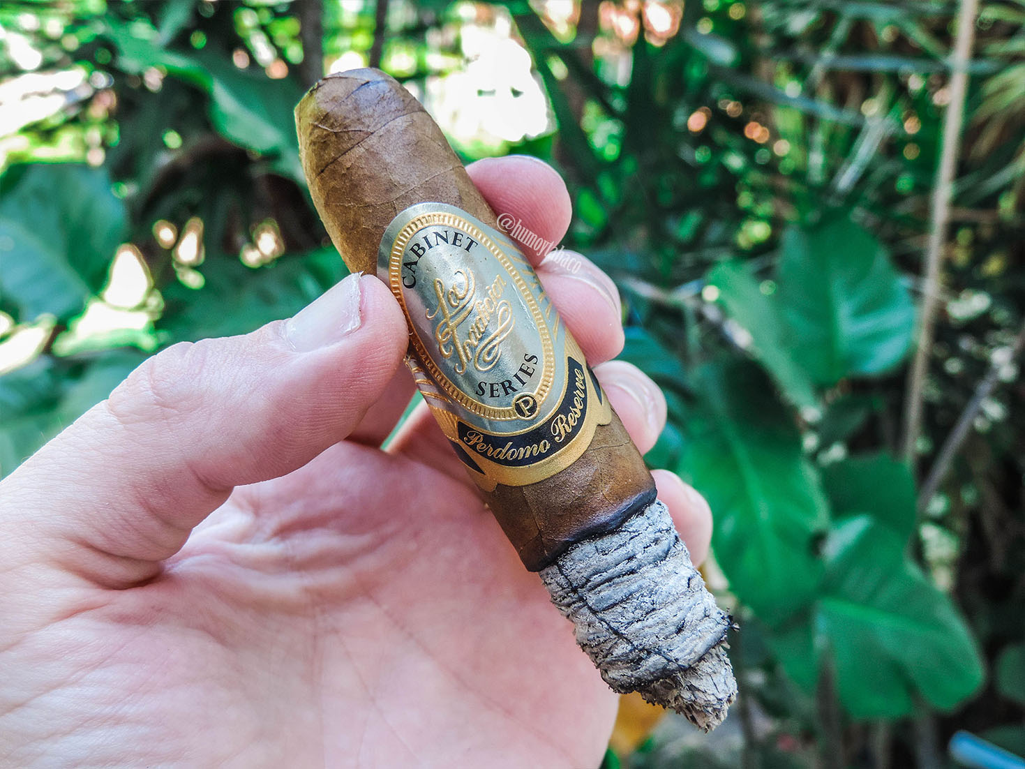 Perdomo - La Tradicion Cabinet Series Cameroon 05