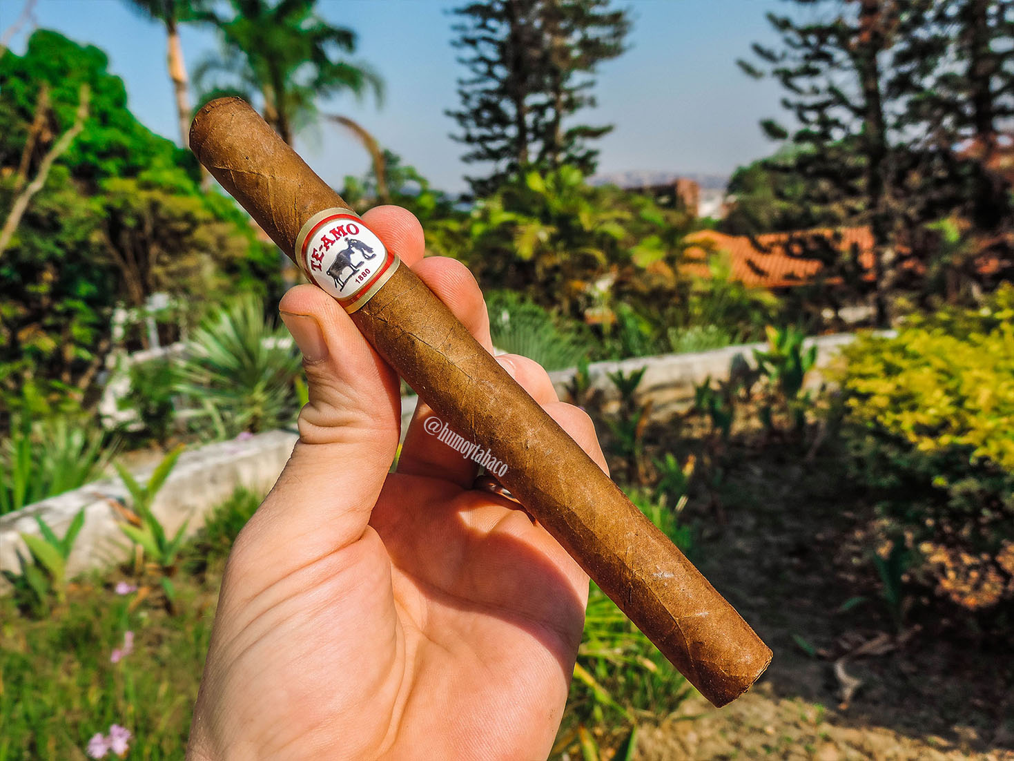 Te-Amo - Gran Reserva Cristales 01