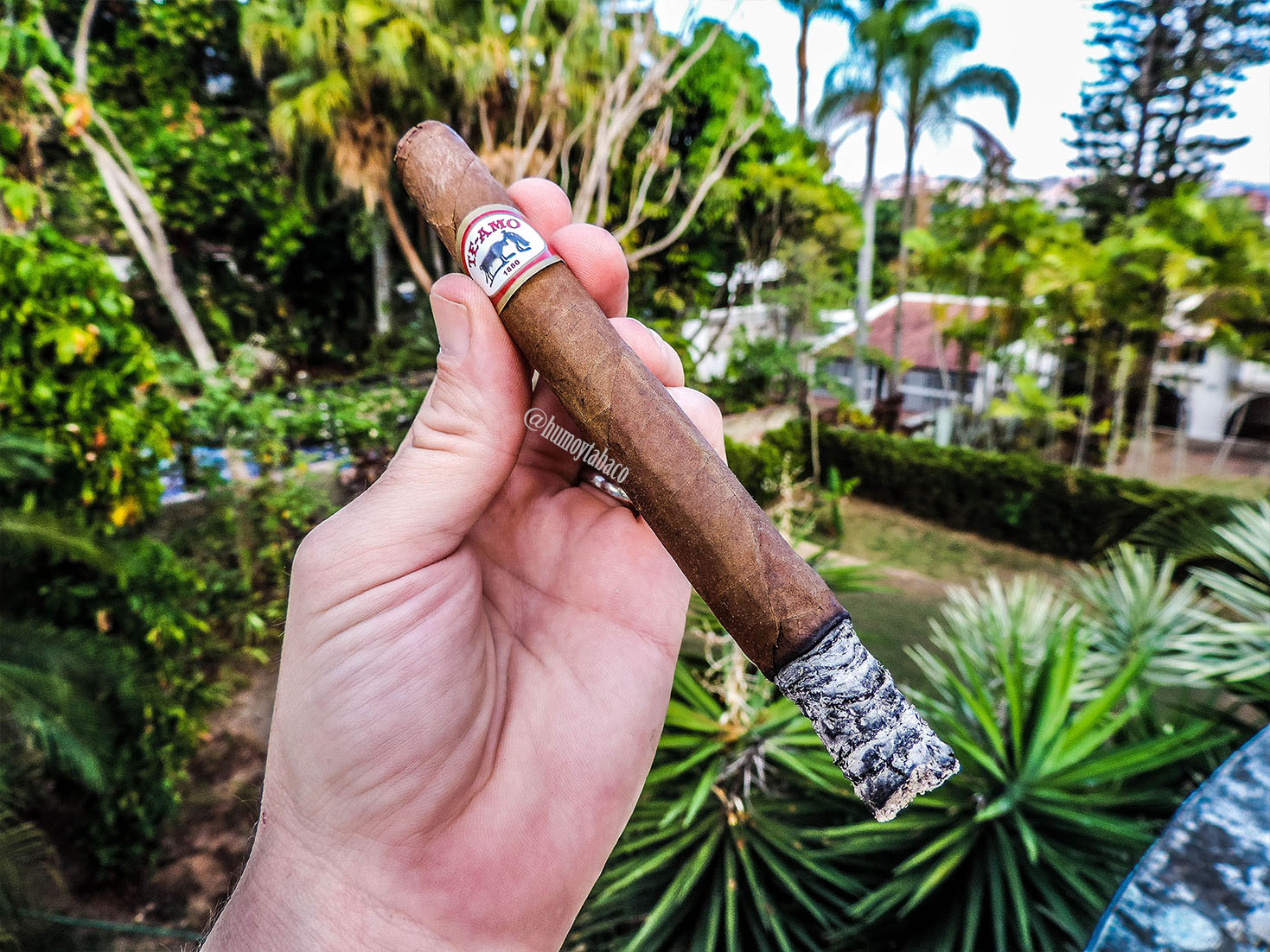 Te-Amo - Gran Reserva Cristales 03