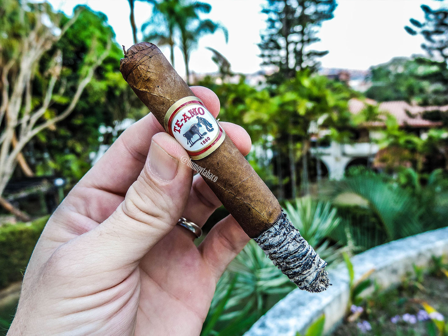 Te-Amo - Gran Reserva Cristales 05