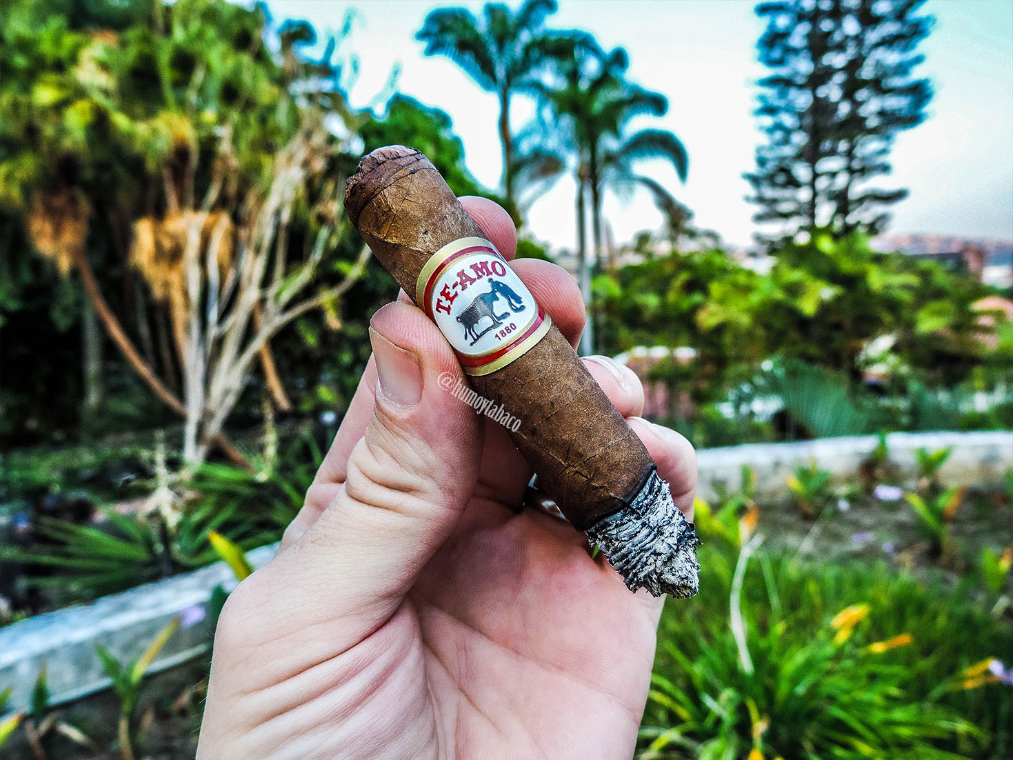 Te-Amo - Gran Reserva Cristales 06