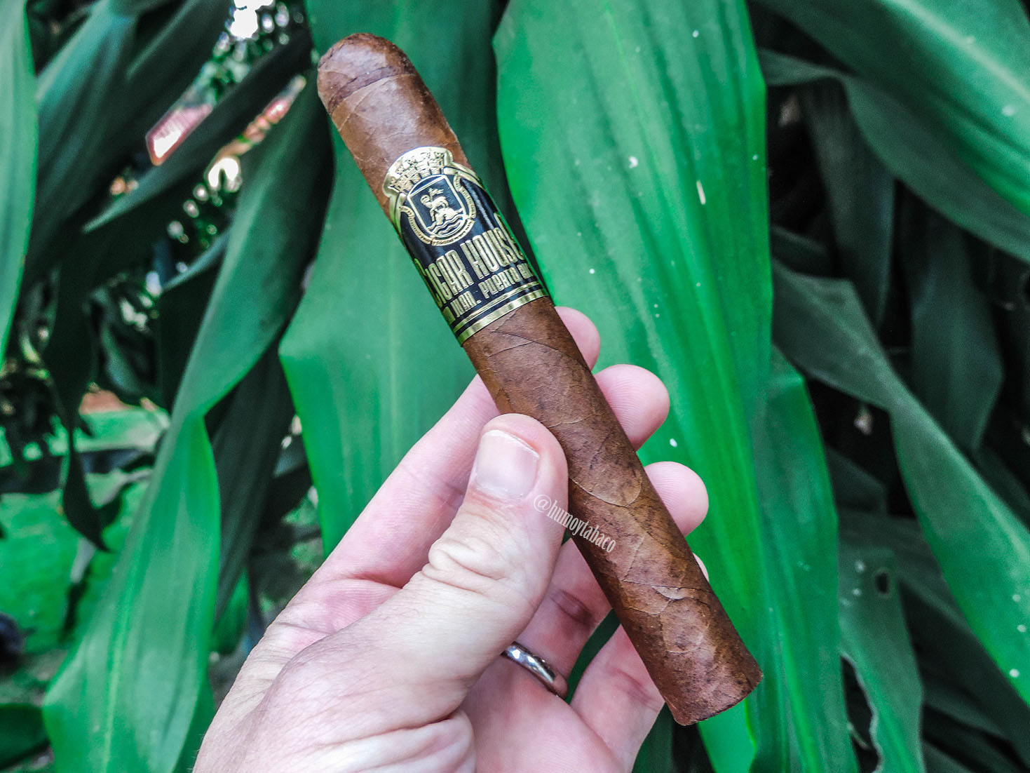 Cigar House - Liga de la Casa 01