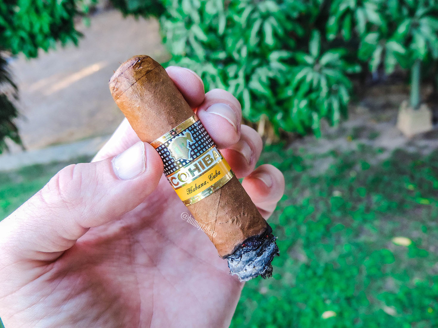 Cohiba - Robusto 04