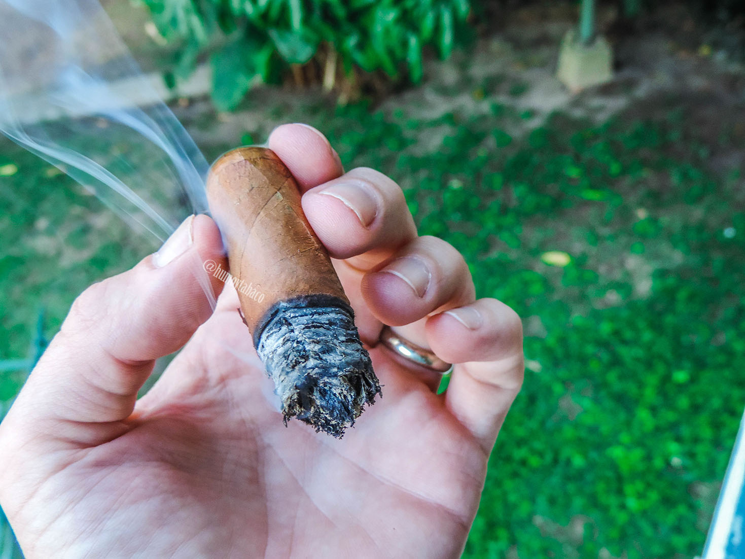 Cohiba - Robusto 06