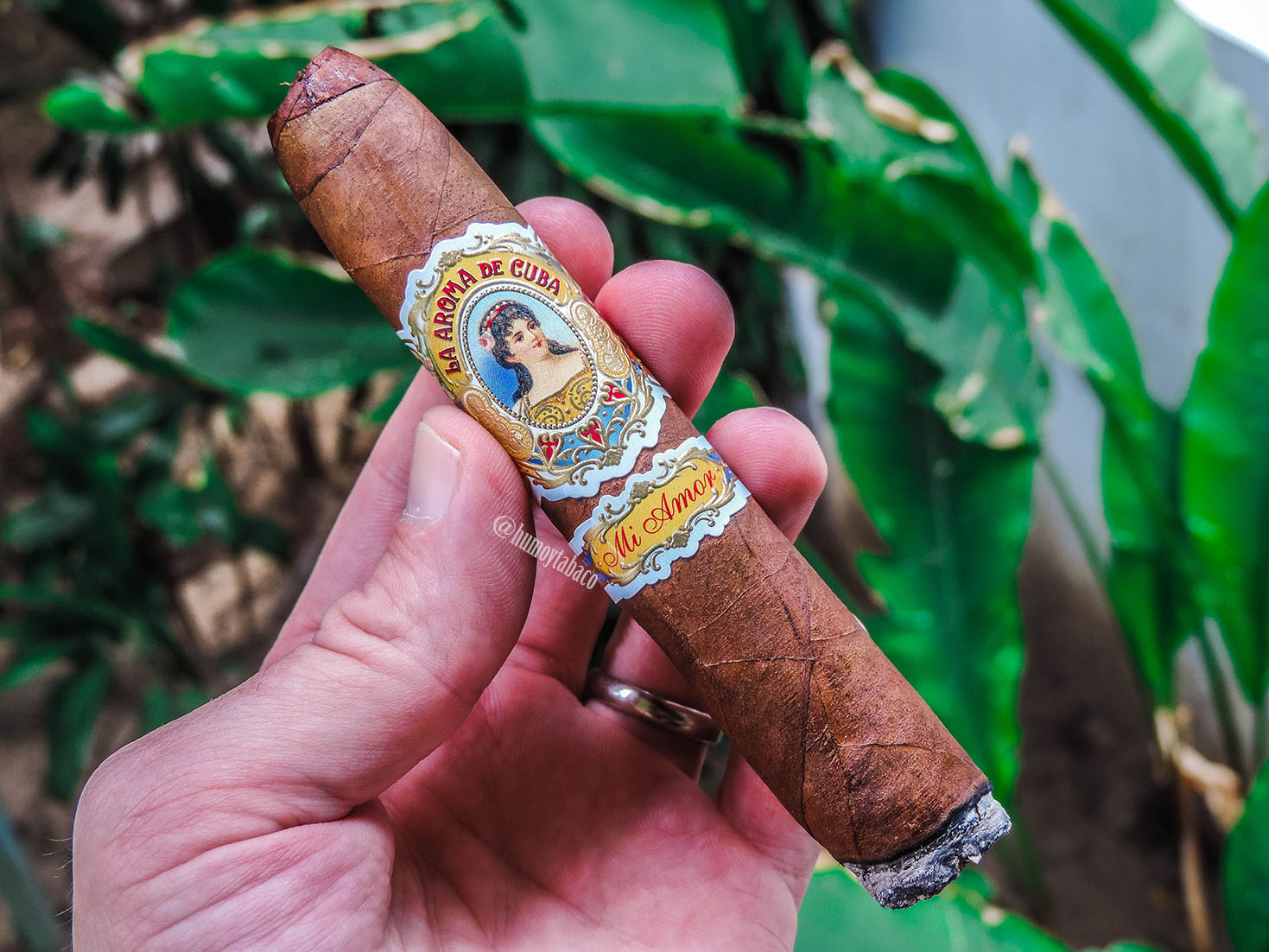 La Aroma de Cuba - Mi Amor 02