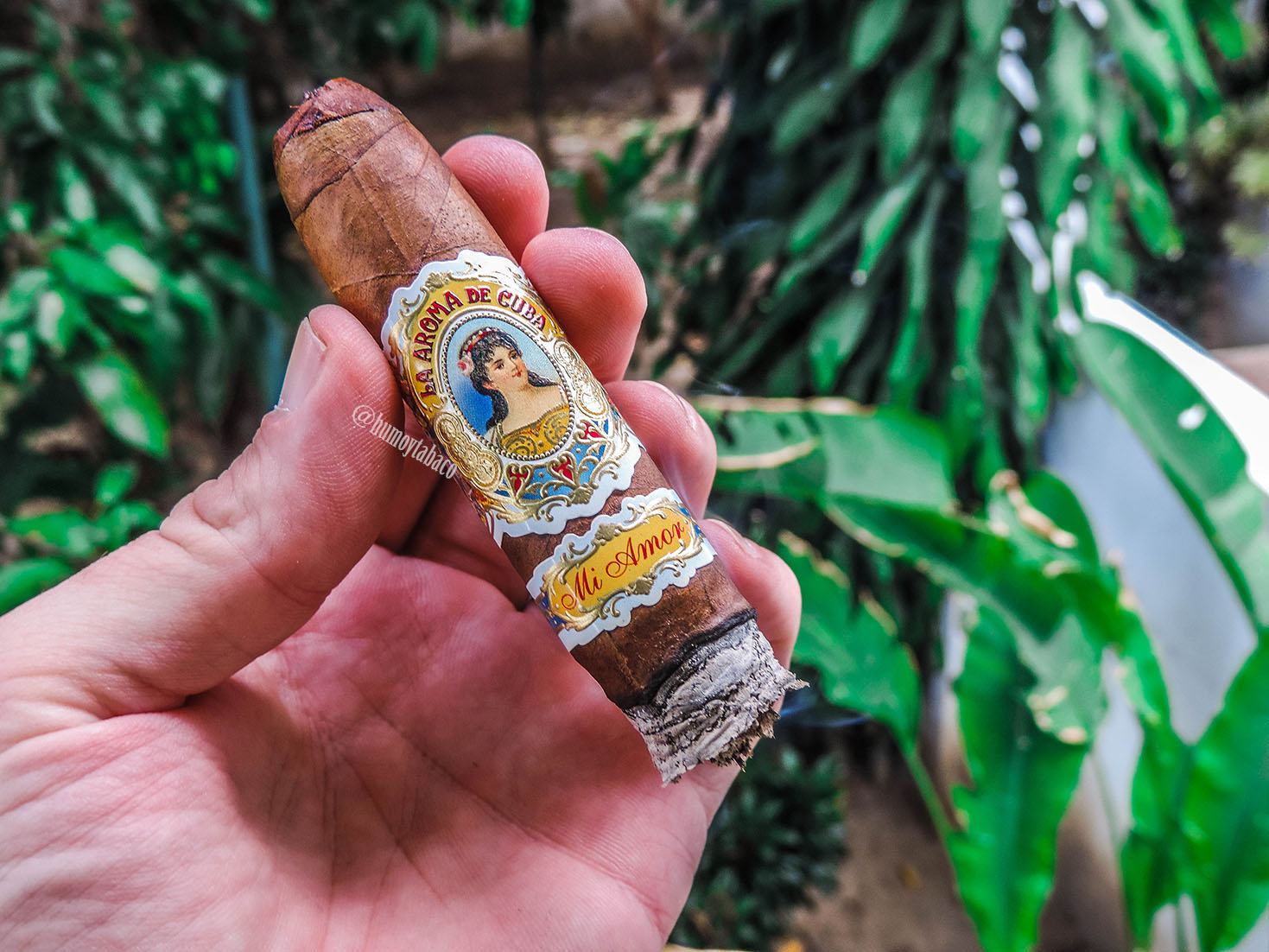 La Aroma de Cuba - Mi Amor 04