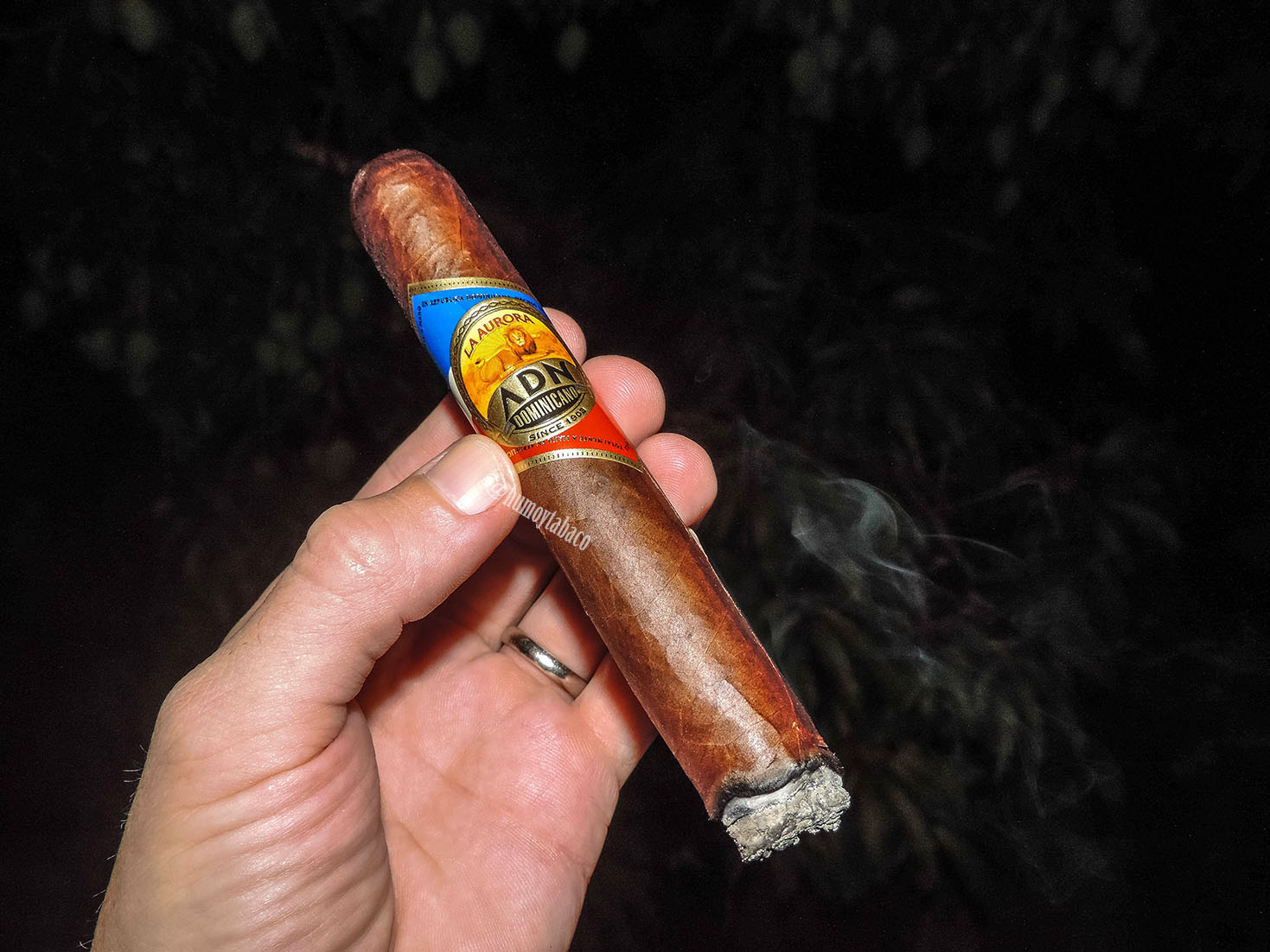 La Aurora - ADN Dominicano 02