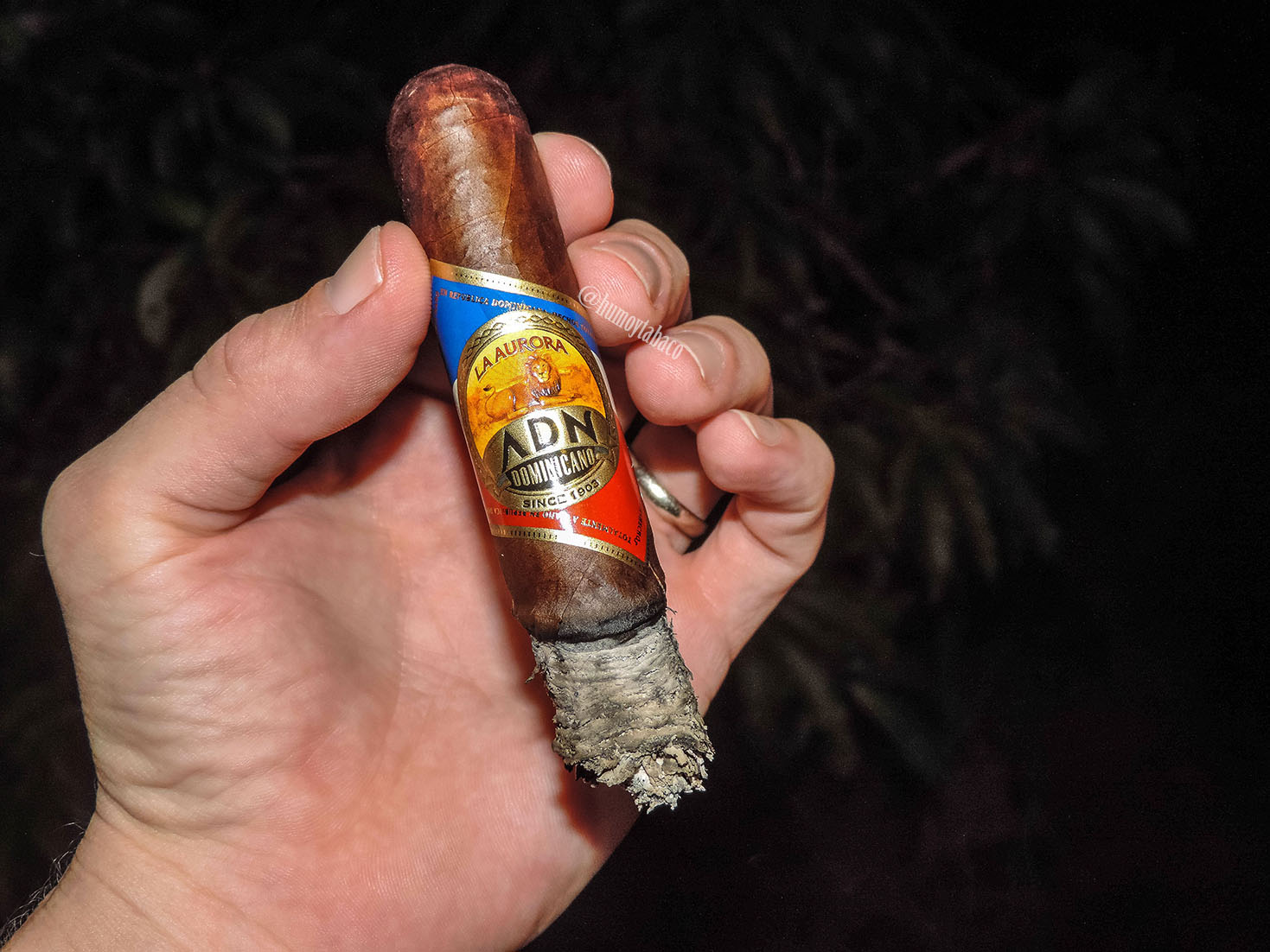 La Aurora - ADN Dominicano 06