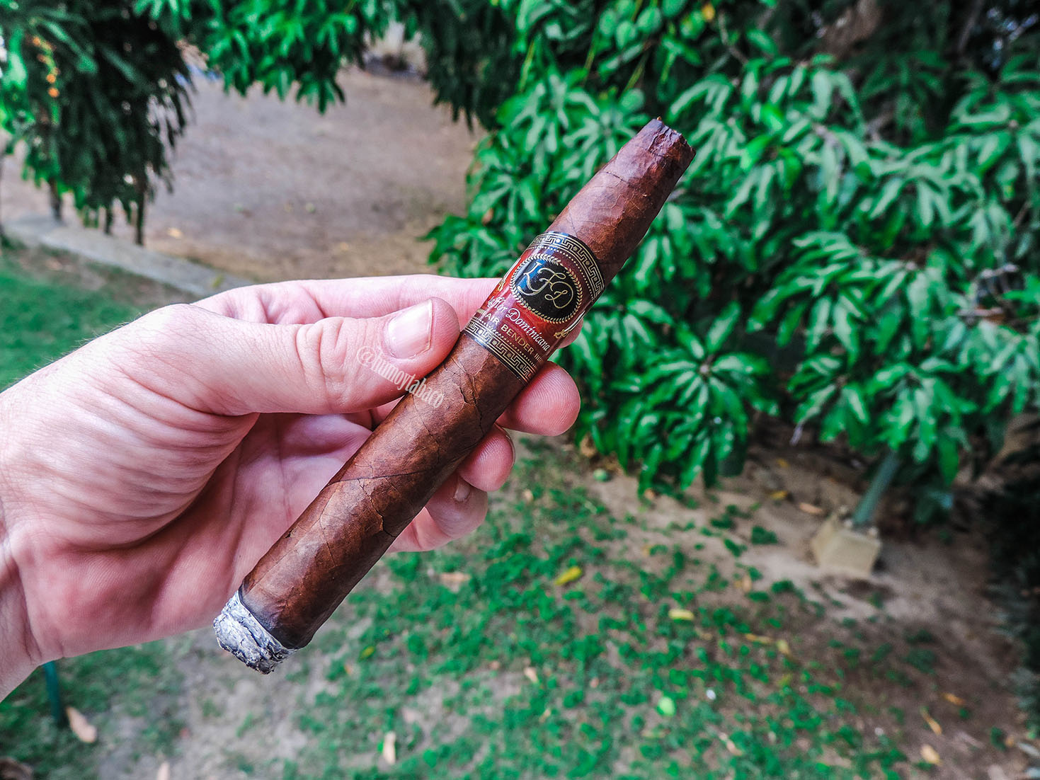La Flor Dominicana - Air Bender 02