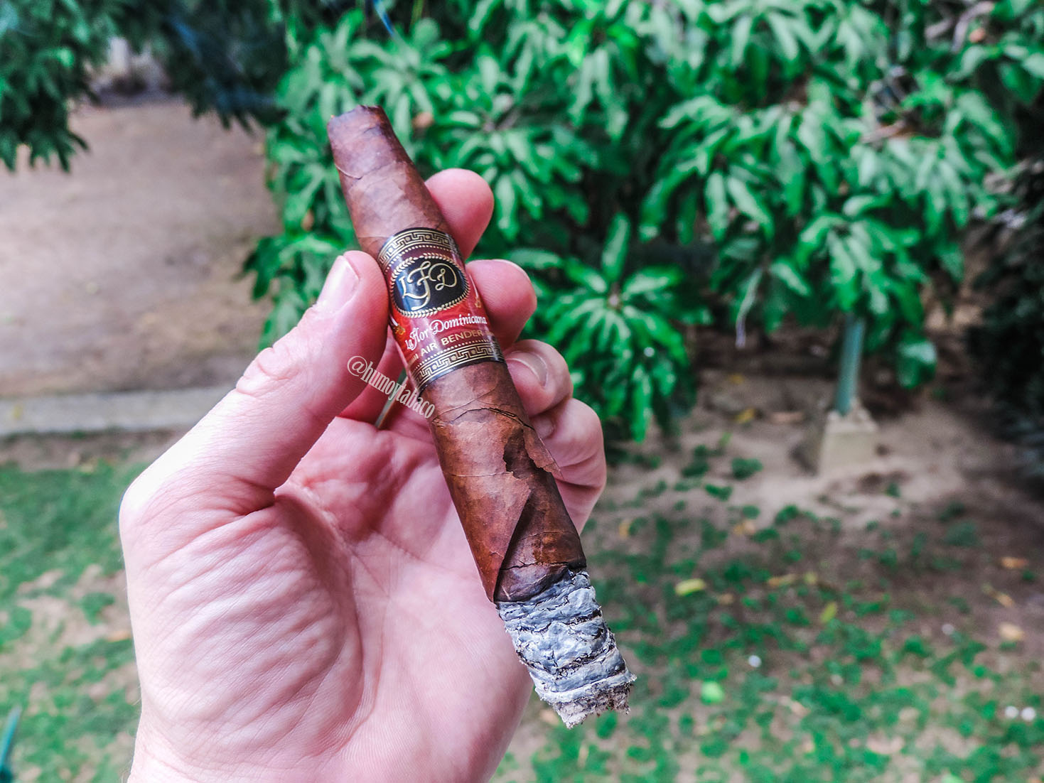 La Flor Dominicana - Air Bender 03