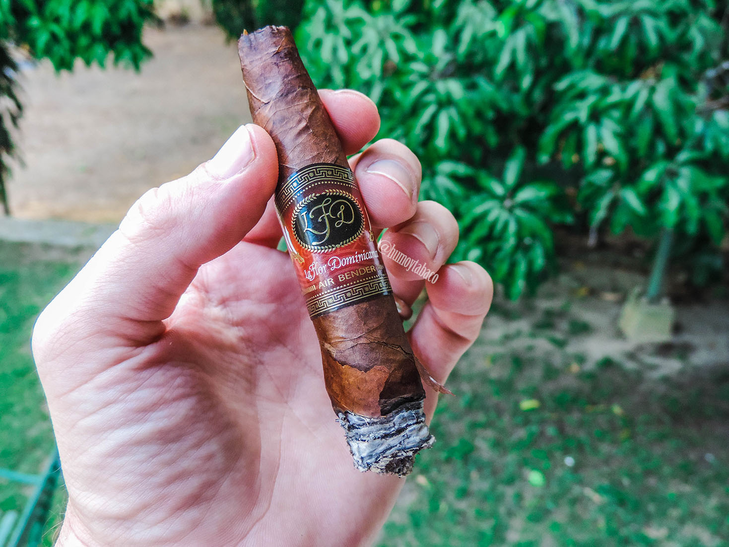 La Flor Dominicana - Air Bender 05