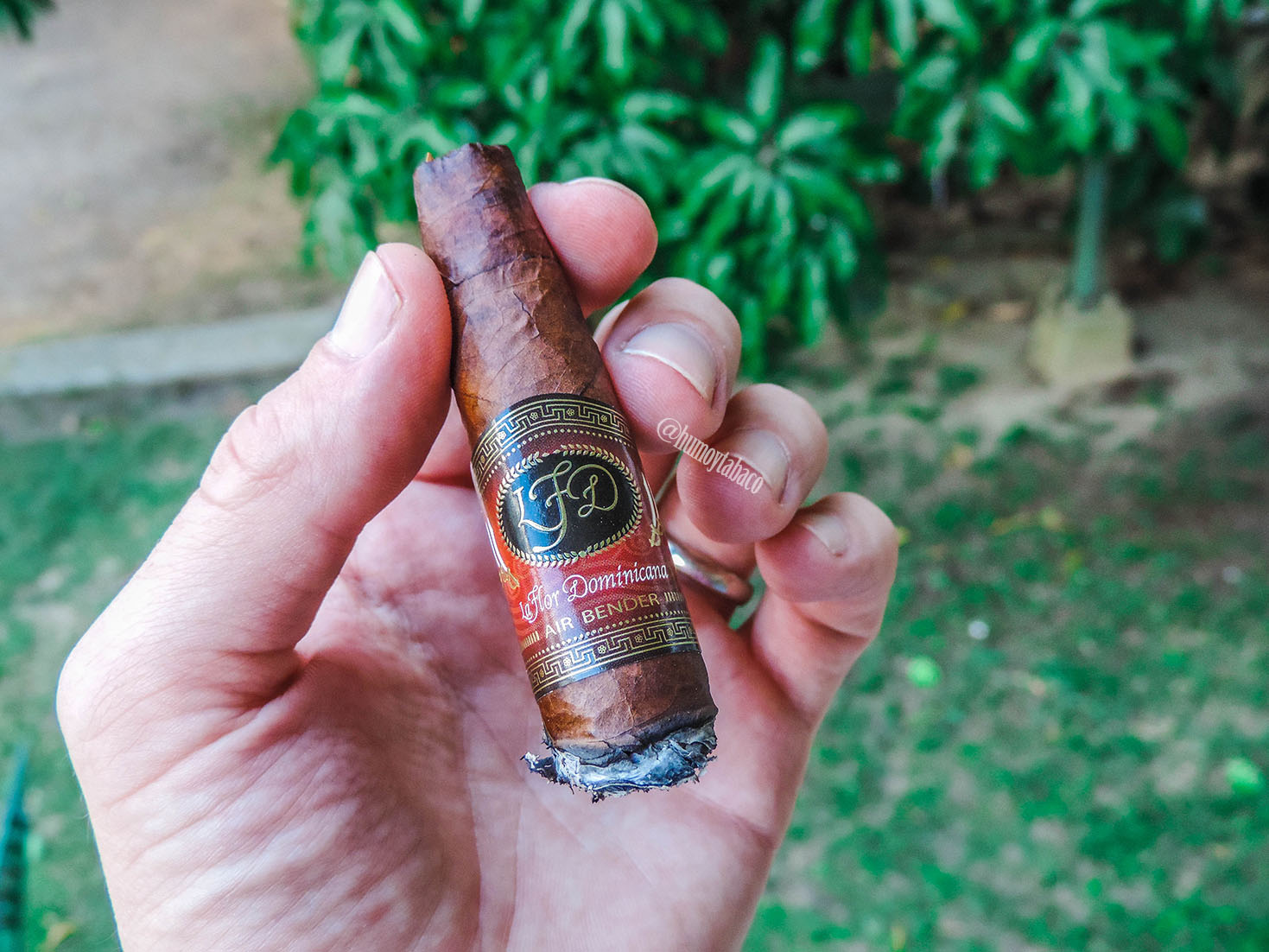 La Flor Dominicana - Air Bender 06