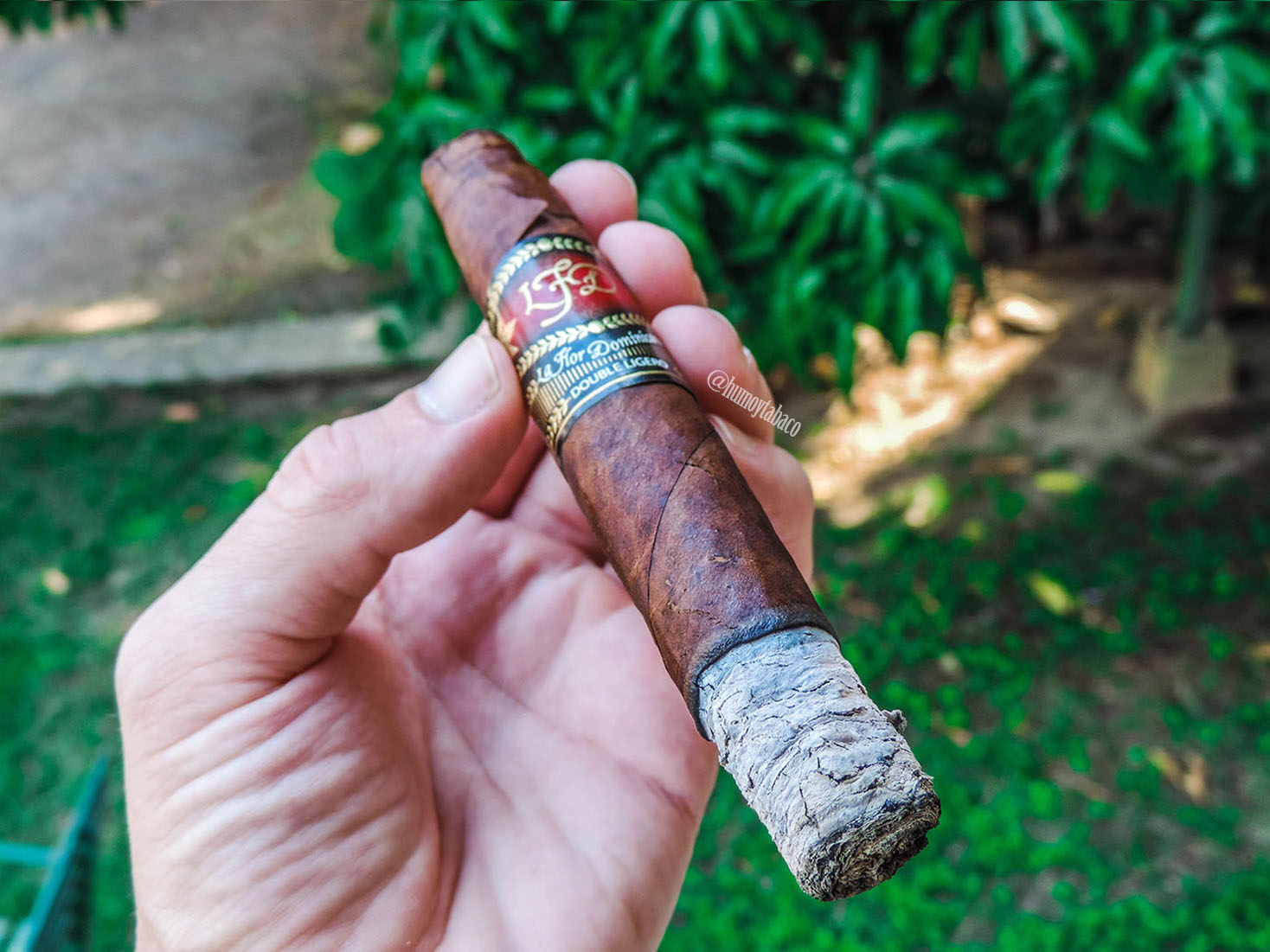 La Flor Dominicana - Double Ligero Chisel 03