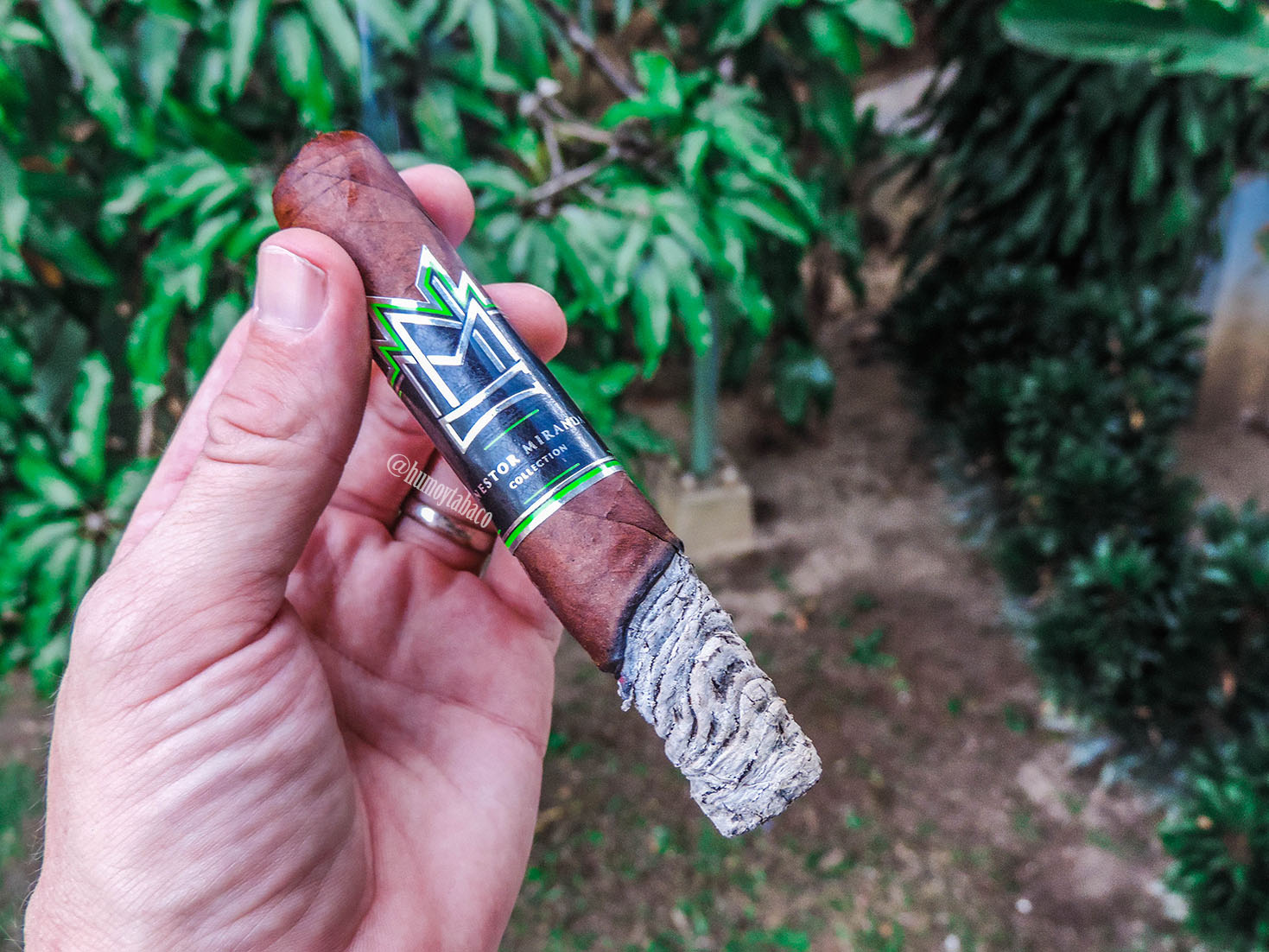 Miami Cigar - Nestor Miranda Habano 04