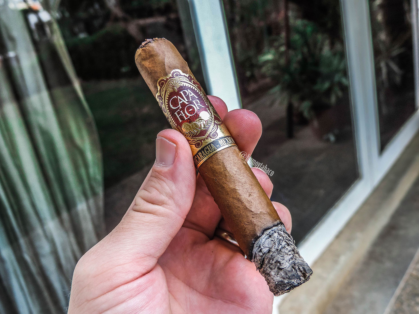 Santa Clara - Capa Flor 02