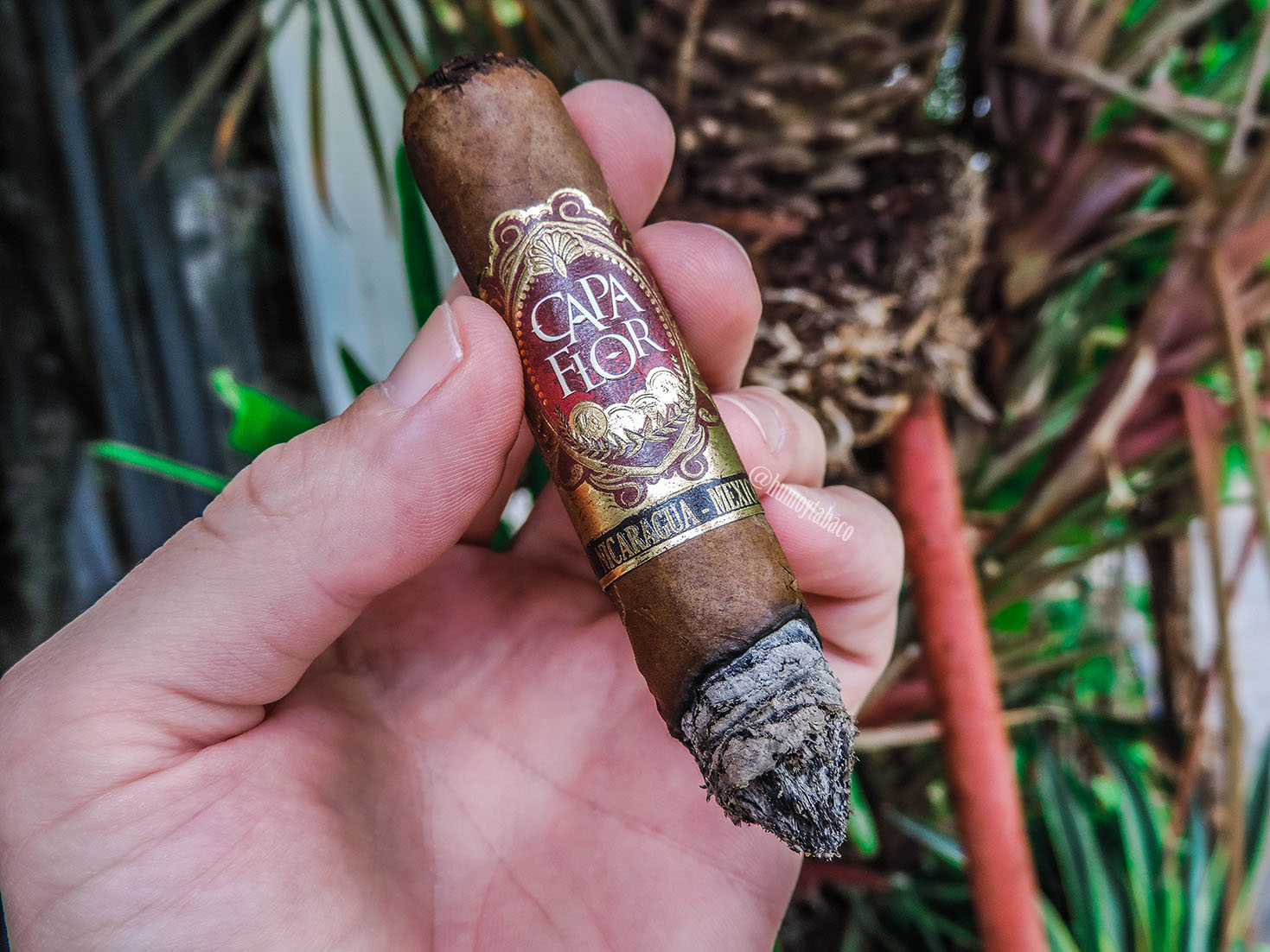 Santa Clara - Capa Flor 04