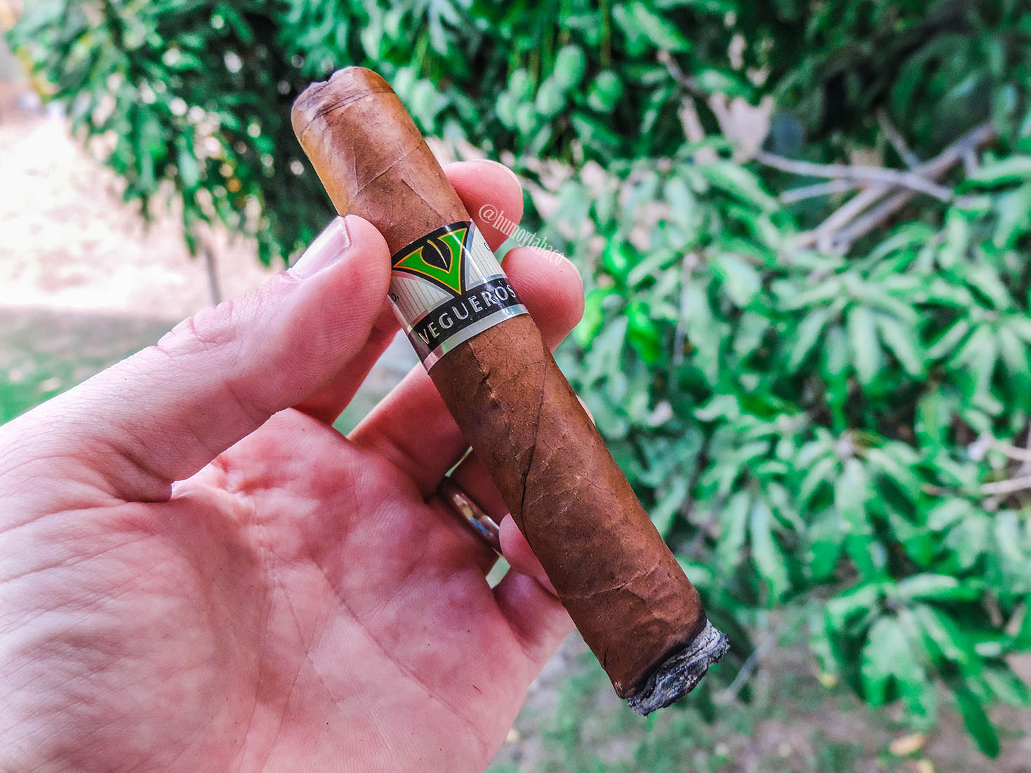 Vegueros - Entretiempos 02