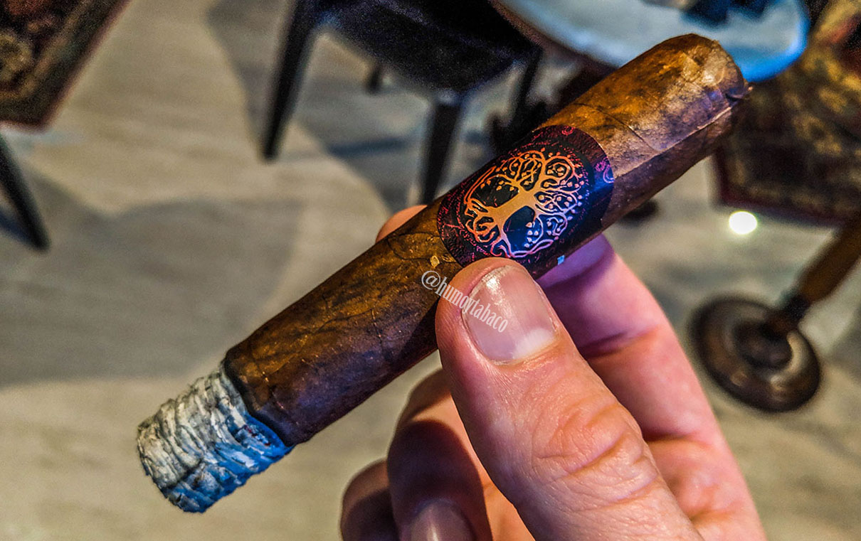 Ventura - Archetype Axis Mundi 02