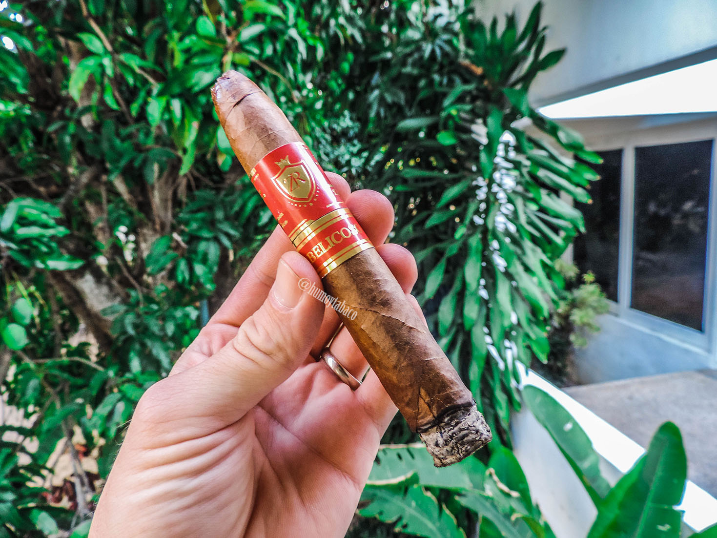 ZR Cigars - Belicoso 02