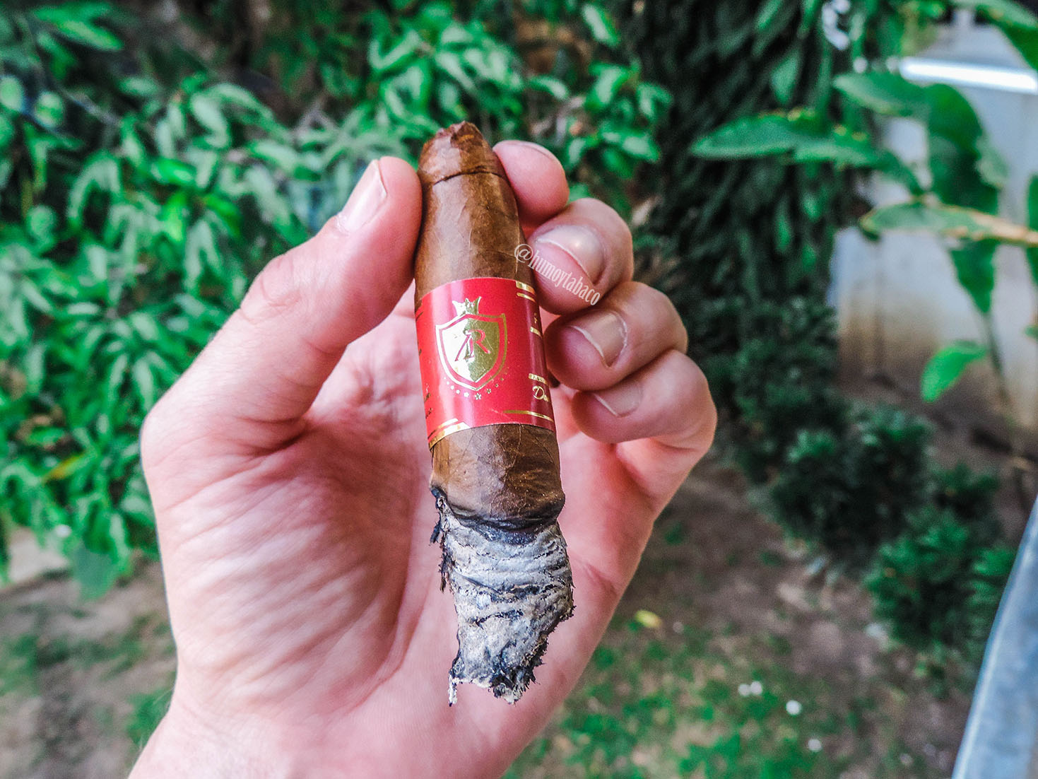 ZR Cigars - Belicoso 05