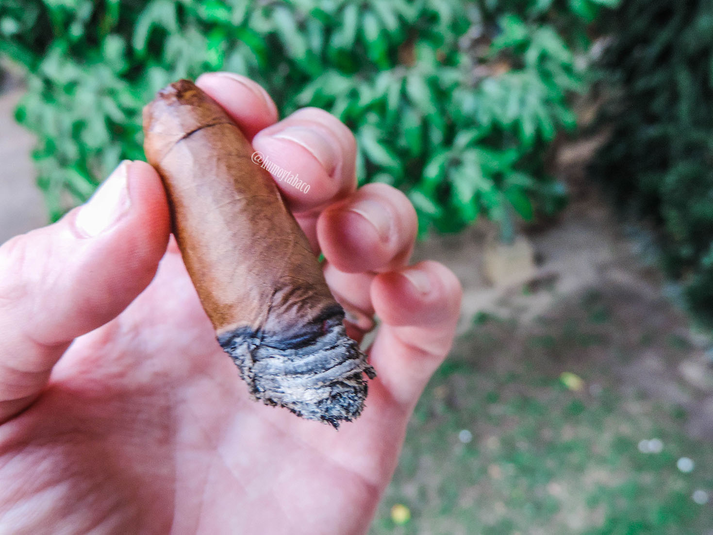 ZR Cigars - Belicoso 06