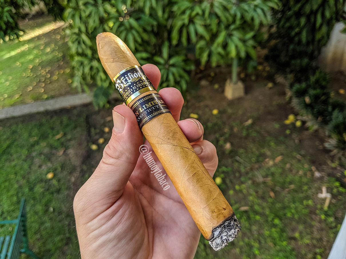 Bribon - EL Connecticut 02