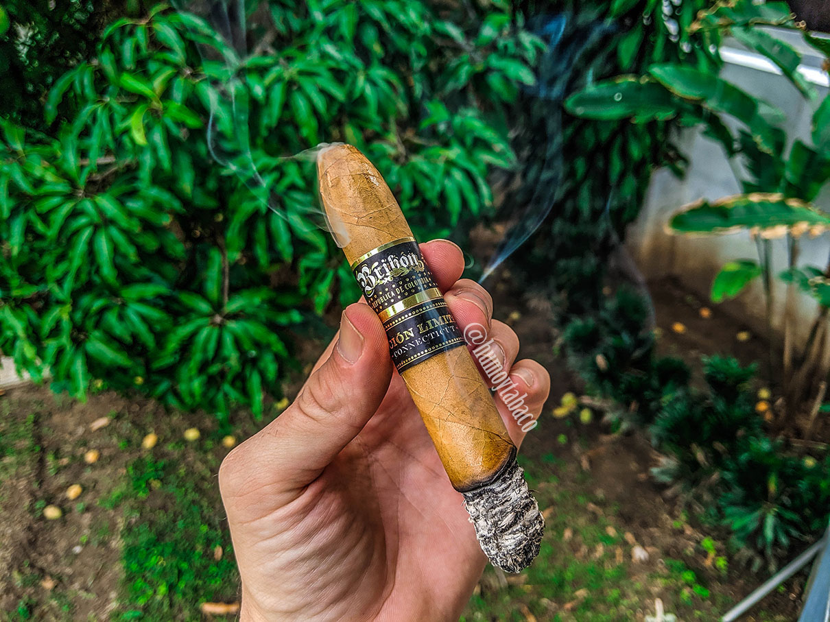 Bribon - EL Connecticut 04