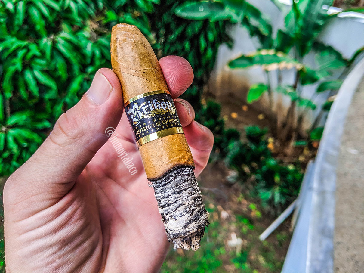 Bribon - EL Connecticut 06