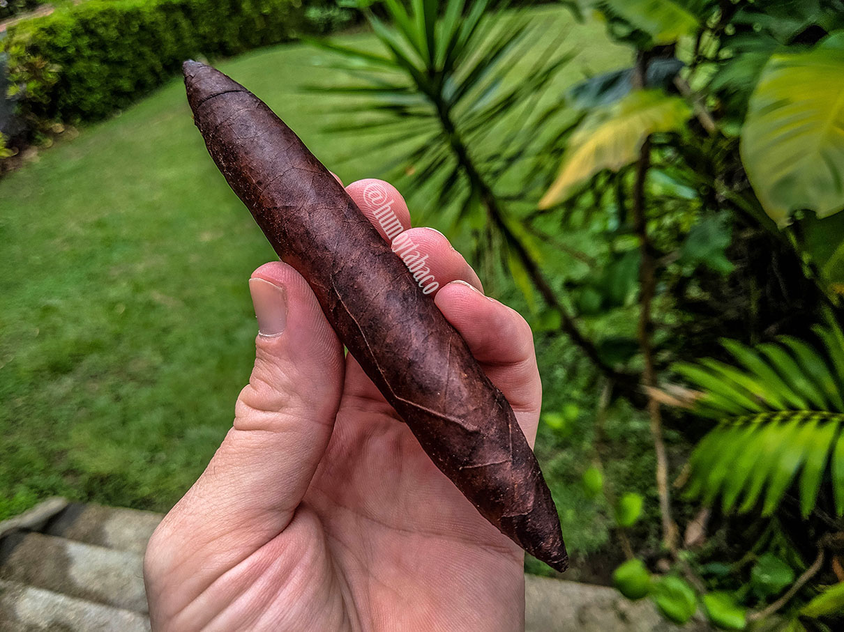 CFT - Love Potion 01