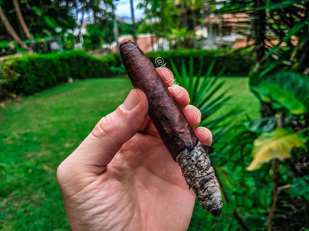 CFT - Love Potion 04