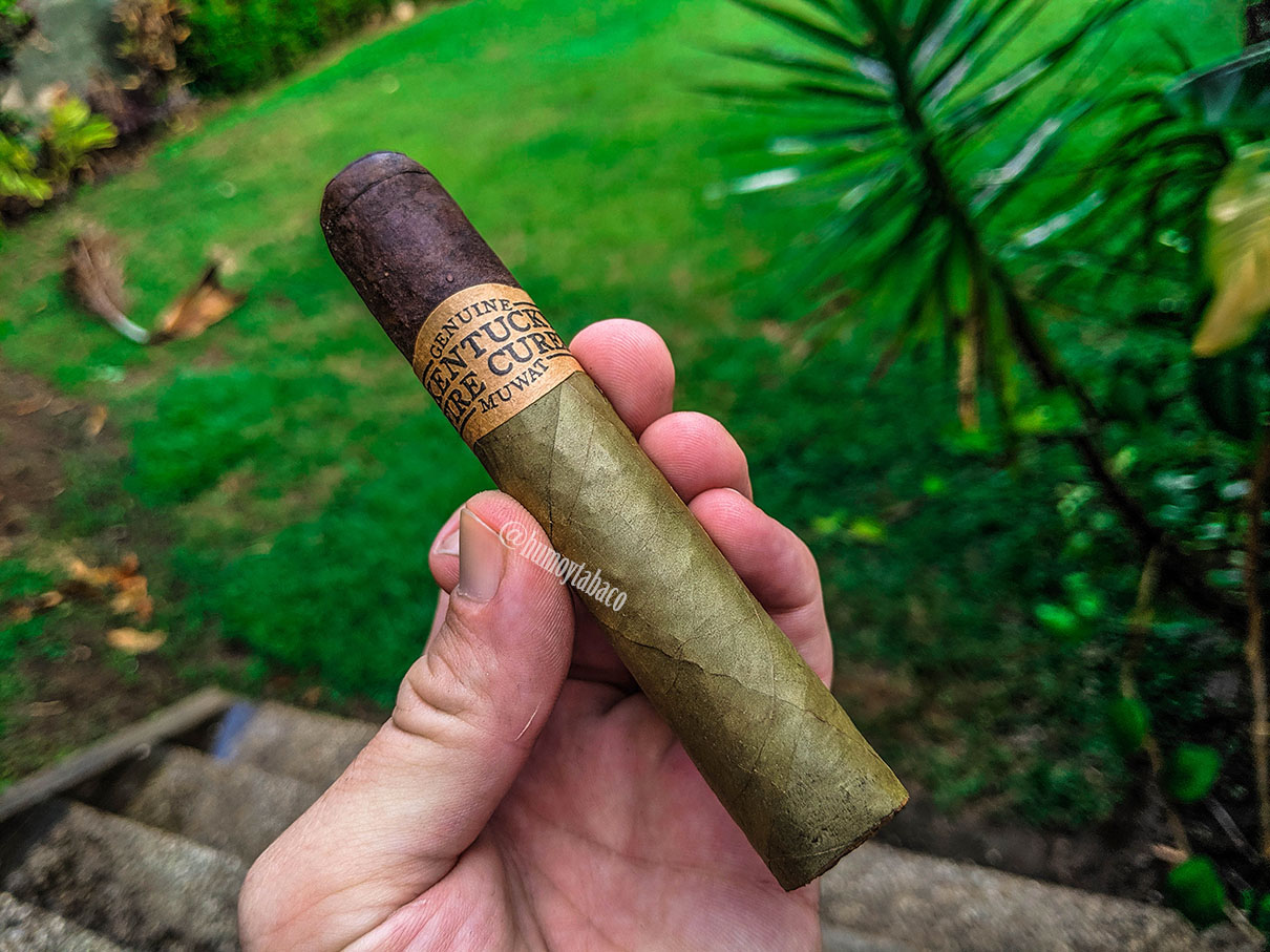 Drew Estate - Kentucky Fire Cured Swamp Thang 01