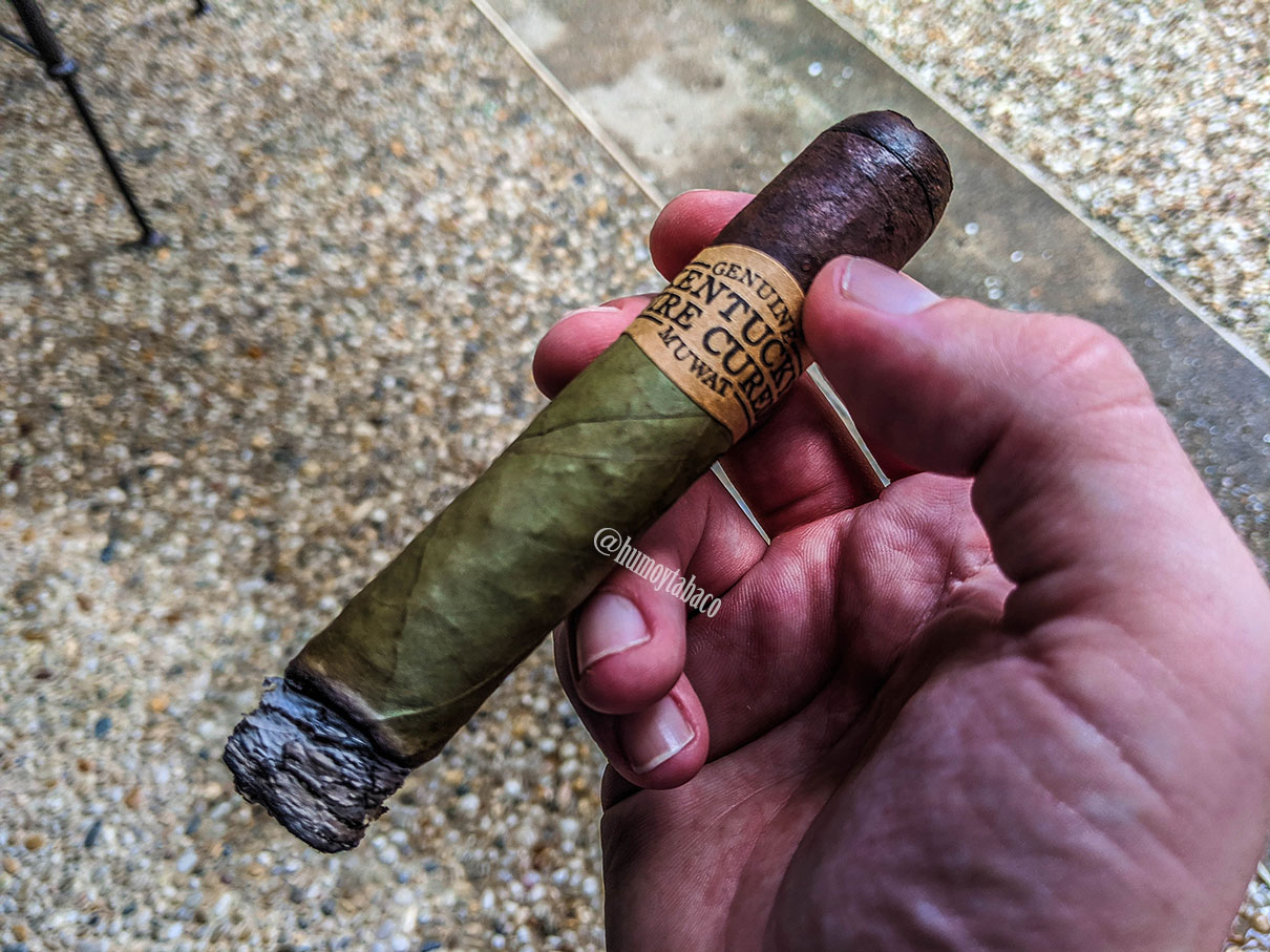 Drew Estate - Kentucky Fire Cured Swamp Thang 02