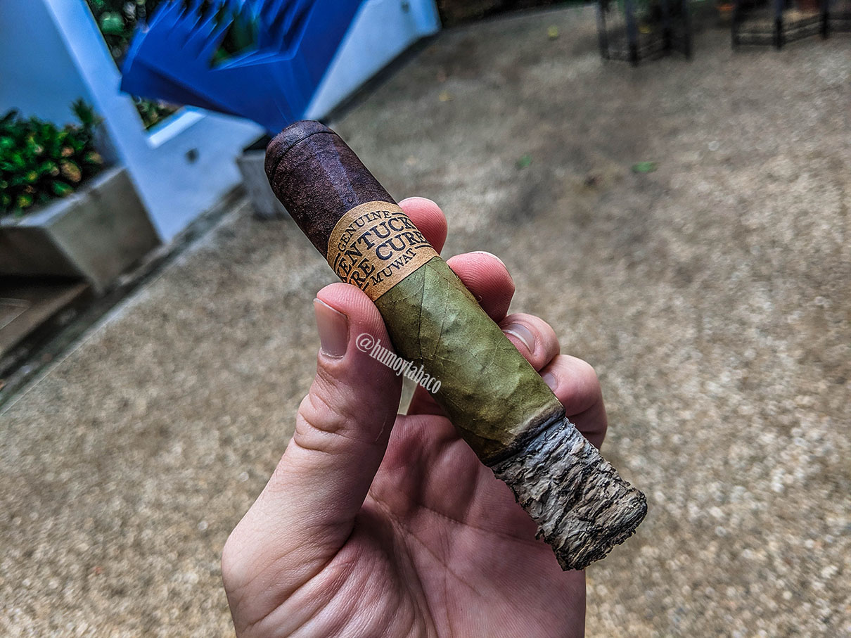 Drew Estate - Kentucky Fire Cured Swamp Thang 03