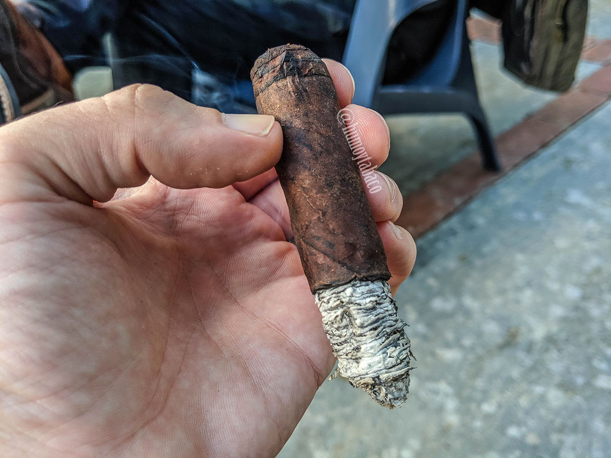 EP Carrillo - Cardinal Impact Maduro 06