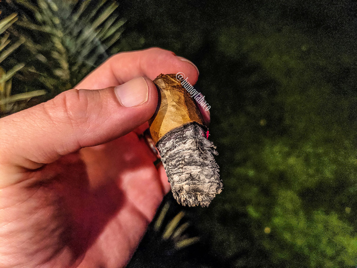 Miami Cigar - Nestor Miranda Connecticut 06