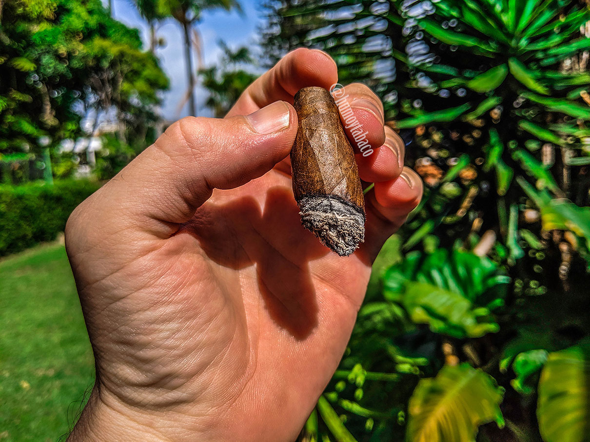 Providencia - Trinitas 06