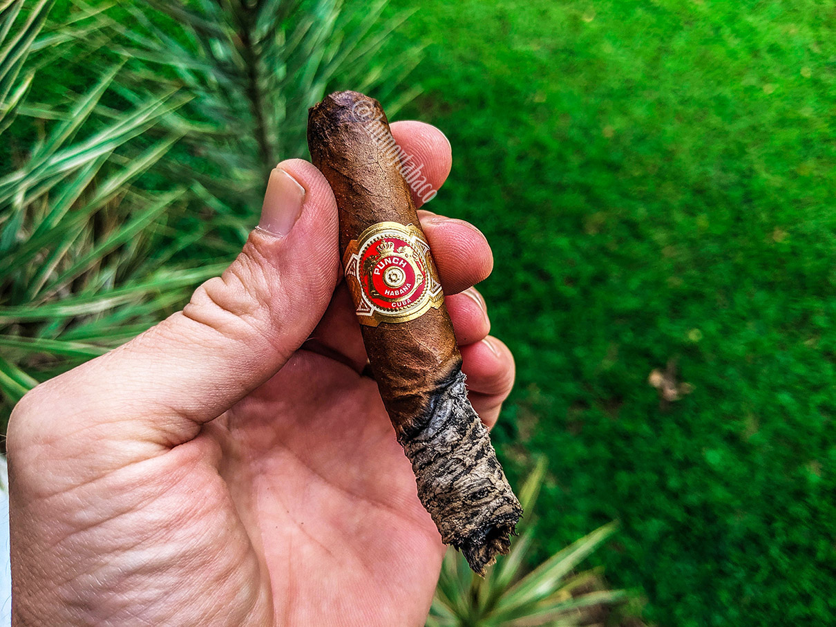 Punch - Royal Coronation 06